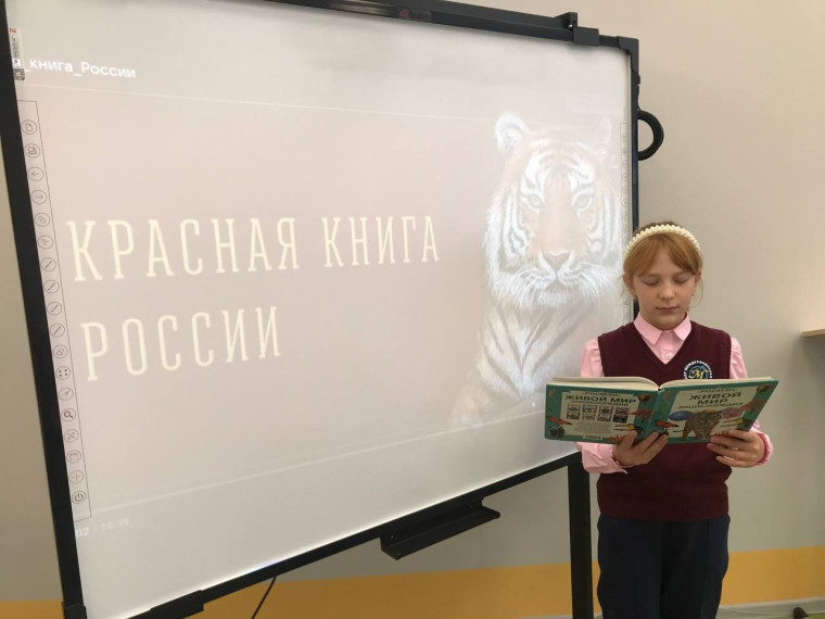 Всемирный день защиты животных.
